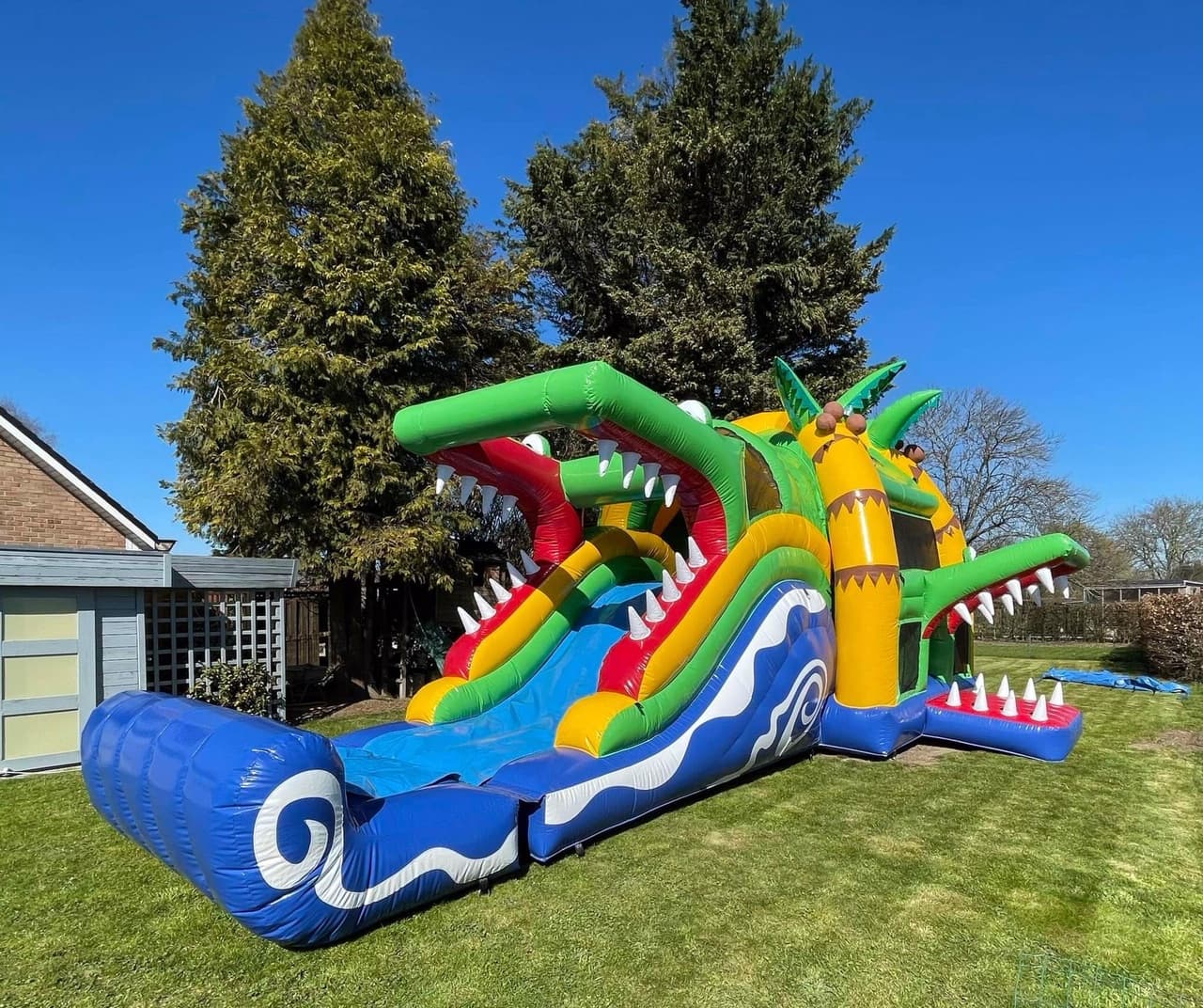 Crocodile