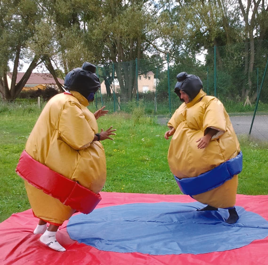 Sumos adultes