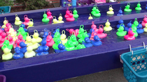 Pêche aux canards 1